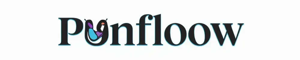 punfloow.com